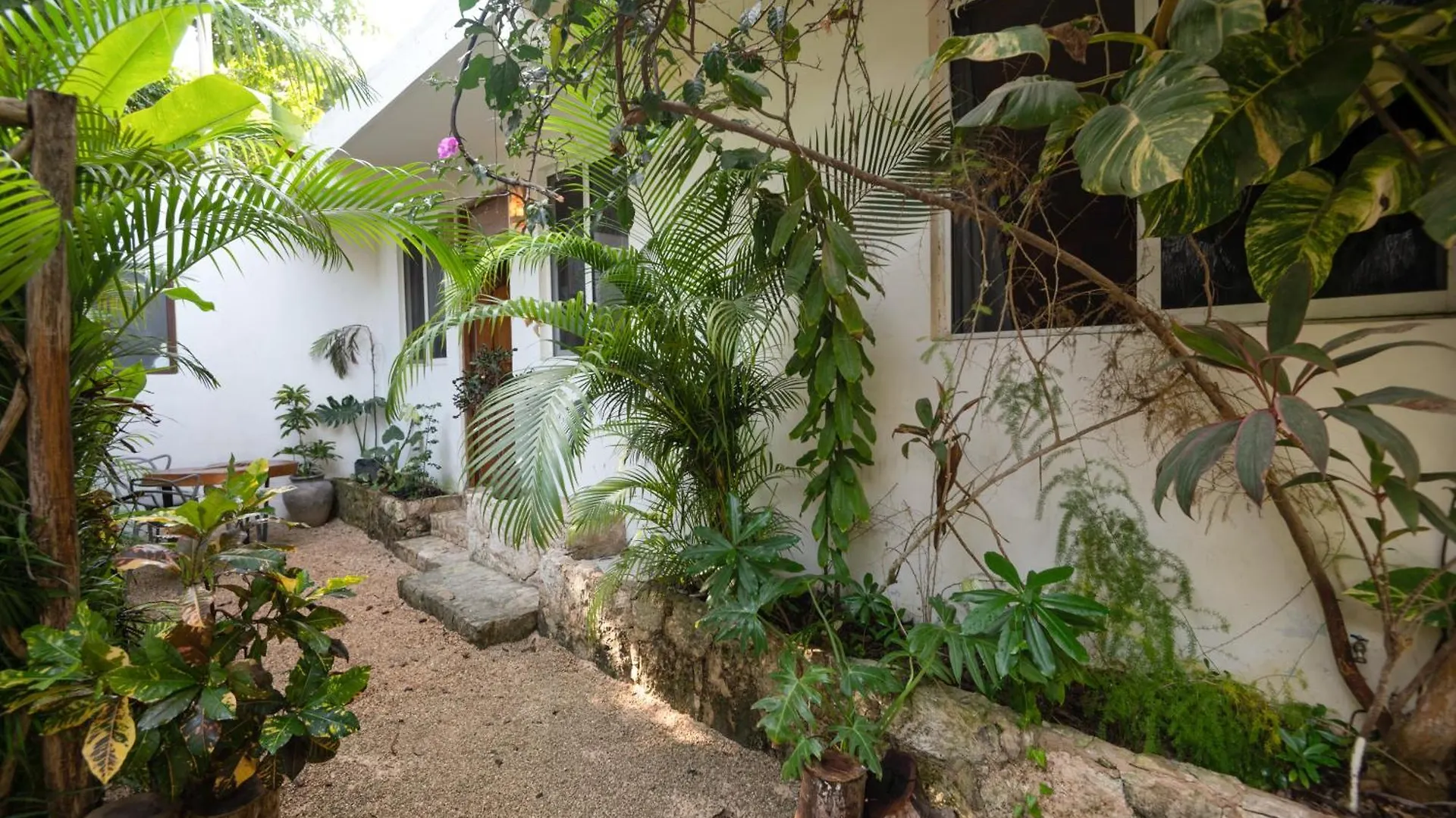 Apartmán Huaya Camp Playa del Carmen