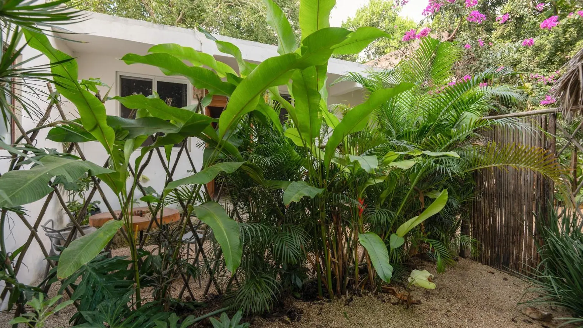 Huaya Camp Apartment Playa del Carmen
