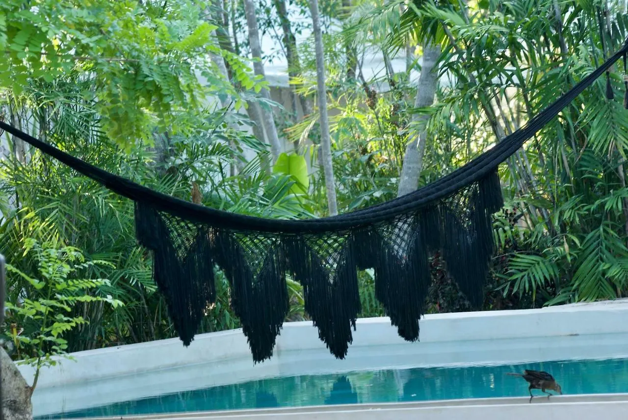 Huaya Camp Apartment Playa del Carmen